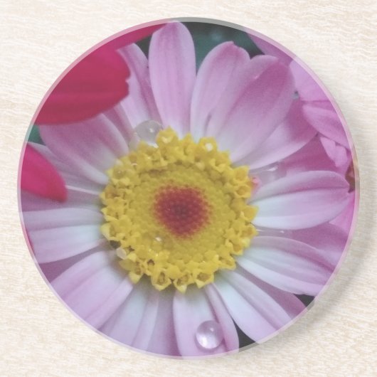 Rosa und gelbe Blume Getränkeuntersetzer (Vorne)