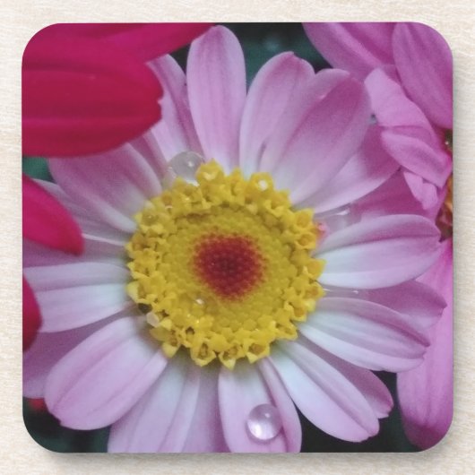 Rosa und gelbe Blume Getränkeuntersetzer (Vorderseite)