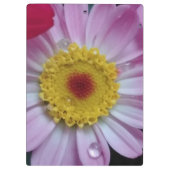 Rosa und gelbe Blume Klemmbrett (Rückseite)