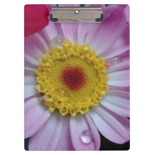 Rosa und gelbe Blume Klemmbrett
