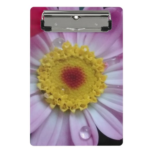 Rosa und gelbe Blume Mini Klemmbrett (Vorderseite)