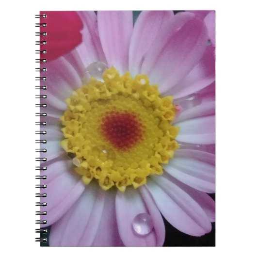 Rosa und gelbe Blume Notizblock (Vorderseite)