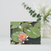 Rosa und gelbe Blume Postkarte (Stehend Vorderseite)