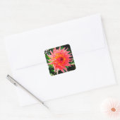 Rosa und gelbe Blume Quadratischer Aufkleber (Umschlag)