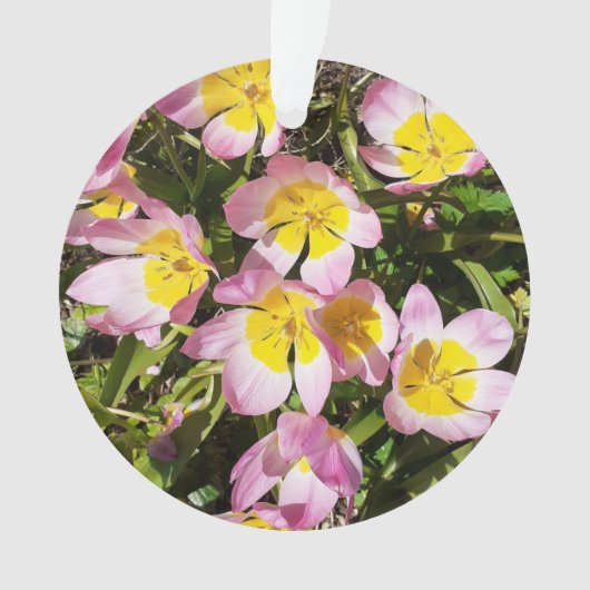 Rosa und gelbe Blumen Akrylisches Ornament (Vorderseite)