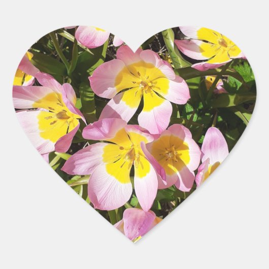 Rosa und gelbe Blumen Herz-Aufkleber (Vorderseite)