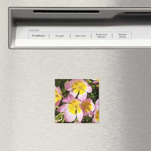 Rosa und gelbe Blumen Magnet (In Situ (Geschirrspüler))