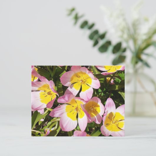 Rosa und gelbe Blumen Postkarte (Stehend Vorderseite)