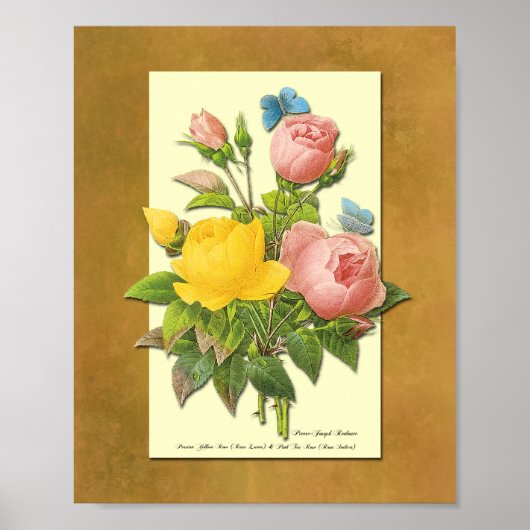 Rosa und gelbe botanische Rose Imitat Pariser Art Poster (Vorne)