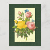 Rosa und gelbe botanische Rose Leere Postkarte (Vorderseite)