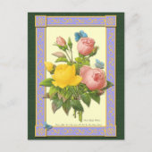 Rosa und gelbe botanische Rose Leere Postkarte (Vorderseite)