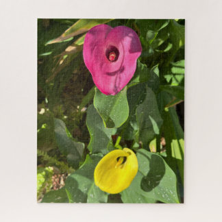 Rosa und gelbe Calla-Lilie, San Mateo Puzzle