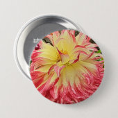 Rosa und Gelbe Dahlia Button (Vorne & Hinten)