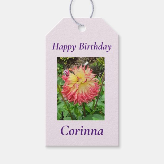 Rosa und Gelbe Dahlia Geschenkanhänger (Vorderseite)