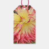 Rosa und Gelbe Dahlia Geschenkanhänger (Vorderseite)