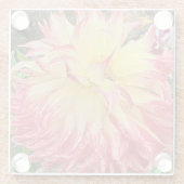 Rosa und Gelbe Dahlia Glasuntersetzer (Rückseite)