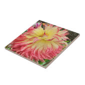 Rosa und gelbe Dahlia Keramik Tile Fliese (Seite)
