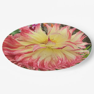 Rosa und Gelbe Dahlia Pappteller