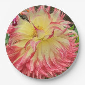 Rosa und Gelbe Dahlia Pappteller (Vorderseite)