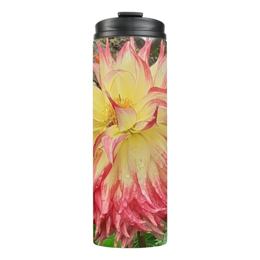 Rosa und Gelbe Dahlia Thermosbecher (Vorderseite)