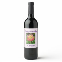 Rosa und Gelbe Dahlia