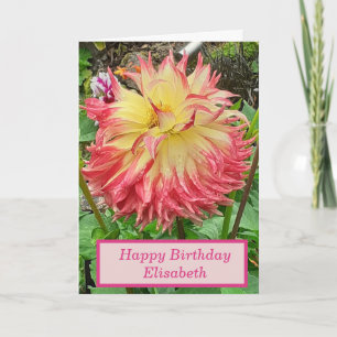 Rosa und Gelbe Dahlia zum Geburtstag Karte
