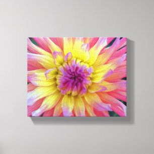 Rosa und gelbe Dahlie Leinwanddruck