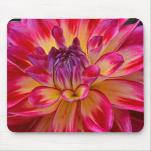 Rosa und gelbe Dahlimousepad Blume Mousepad