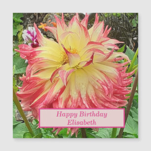 Rosa und gelbe Dahlische Magnetkarte