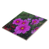 Rosa und gelbe Daisy-Blume Keramik Tile Fliese (Seite)