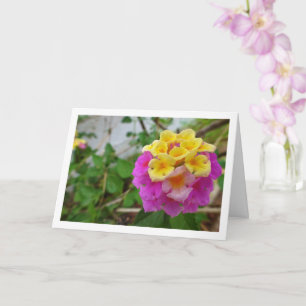Rosa und gelbe Lantana-Blüten Karte