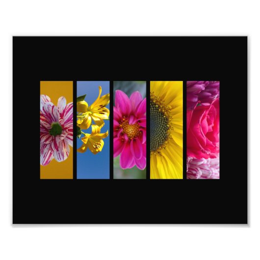 Rosa und gelbe Macro-Blume Fotodruck (Vorne)