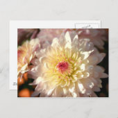 Rosa und Gelbe Mäuse Postkarte (Vorne/Hinten)