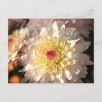 Rosa und Gelbe Mäuse