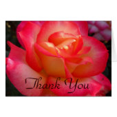 Rosa und Gelbe Rose Danke (Vorderseite (Horizontal))