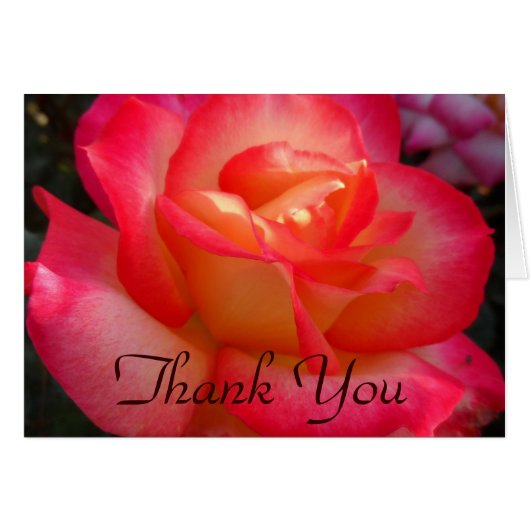 Rosa und Gelbe Rose Danke (Vorderseite (Horizontal))