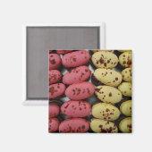 Rosa und gelbe Schokoladenboote Magnet (Vorderseite/Rückseite)