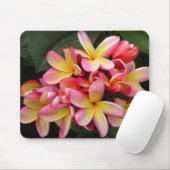 Rosa und gelbe tropische Plumeria-Blume Mousepad (Mit Mouse)