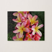 Rosa und gelbe tropische Plumeria-Blume Puzzle (Horizontal)