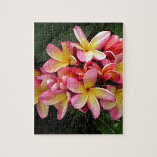 Rosa und gelbe tropische Plumeria-Blume Puzzle