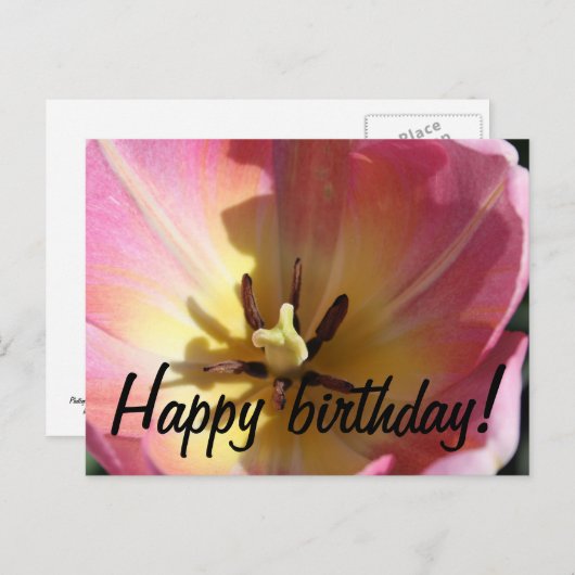 Rosa und gelbe Tulpe Postkarte (Vorne/Hinten)