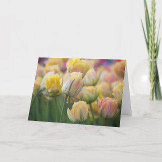 Rosa und gelbe Tulpen Karte