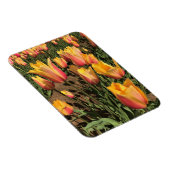 Rosa und gelbe Tulpen Magnet (Rechte Seite)