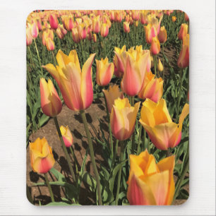 Rosa und gelbe Tulpen Mousepad