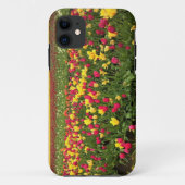 Rosa und gelbe Tulpen, Oregon Case-Mate iPhone Hülle (Rückseite)