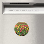 Rosa und gelbe Tulpen, Oregon Magnet (In Situ (Geschirrspüler))