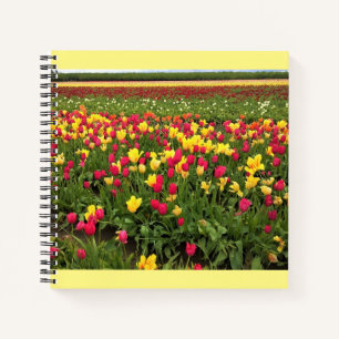 Rosa und gelbe Tulpen, Oregon Notizblock