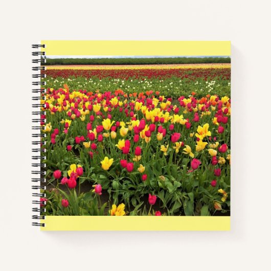 Rosa und gelbe Tulpen, Oregon Notizblock (Vorderseite)