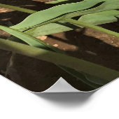 Rosa und gelbe Tulpen Poster (Ecke)