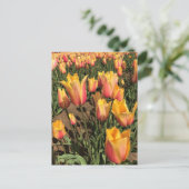 Rosa und gelbe Tulpen Postkarte (Stehend Vorderseite)